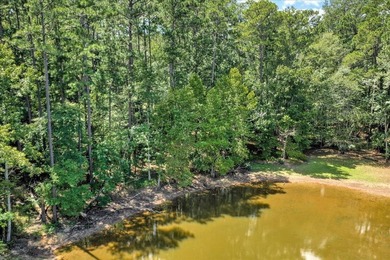 Very gentle slope Lake Lot in Shenandoah section of Savannah - photo 19