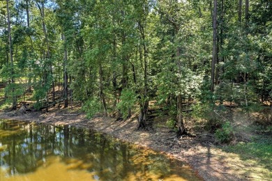 Very gentle slope Lake Lot in Shenandoah section of Savannah - photo 20
