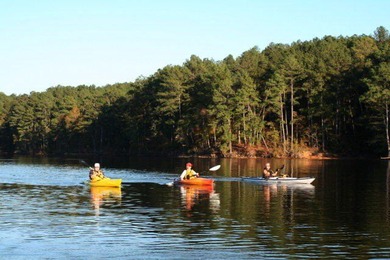 Very gentle slope Lake Lot in Shenandoah section of Savannah - photo 29