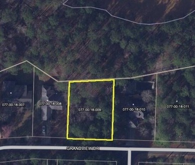 Very gentle slope Lake Lot in Shenandoah section of Savannah - photo 30