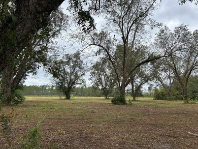 (private lake, pond, coastal) Acreage Sale Pending in Glennville Georgia