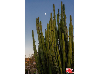 A RARE OPPORTUNITY TO BUILD A LEGACY ESTATE IN BONSALL CANYON - photo 34