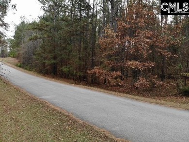 Waterfront Community on Lake Greenwood. Corner lot on 1.3 acres - photo 6
