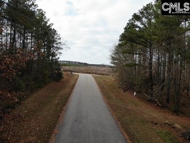 Waterfront Community on Lake Greenwood. Corner lot on 1.3 acres - photo 7