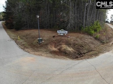 Waterfront Community on Lake Greenwood. Corner lot on 1.3 acres - photo 9