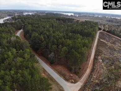 Waterfront Community on Lake Greenwood. Corner lot on 1.3 acres - photo 10