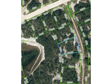 Lake Grassy Lot For Sale in Lake Placid Florida