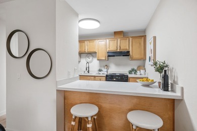 Exceptional value! Remodeled one bedroom, one bathroom condo