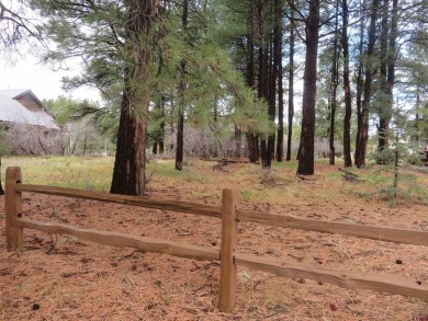Lake Lot For Sale in Pagosa Springs, Colorado