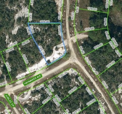 Lake Grassy Lot For Sale in Lake Placid Florida
