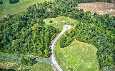 Build your Kerr lake Region Dream home right here at Grace Stone - photo 2