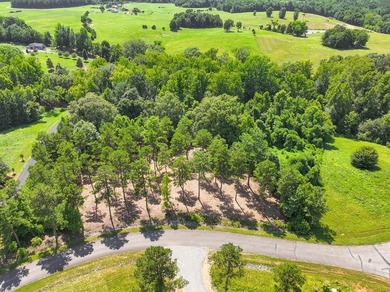 Build your Kerr lake Region Dream home right here at Grace Stone - photo 5