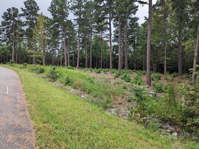 Build your Kerr lake Region Dream home right here at Grace Stone - photo 6
