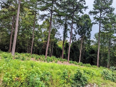 Build your Kerr lake Region Dream home right here at Grace Stone - photo 7