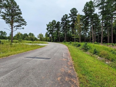 Build your Kerr lake Region Dream home right here at Grace Stone - photo 8