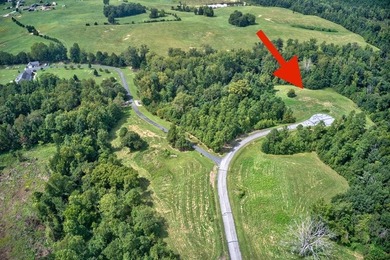 Build your Kerr lake Region Dream home right here at Grace Stone - photo 10