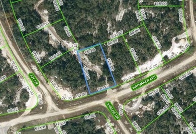 Lake Grassy Lot For Sale in Lake Placid Florida