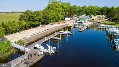 Premier Waterfront Marina & Income Powerhouse! Seize this rare - photo 2
