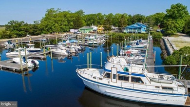 Premier Waterfront Marina & Income Powerhouse! Seize this rare - photo 3