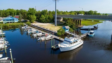 Premier Waterfront Marina & Income Powerhouse! Seize this rare - photo 5