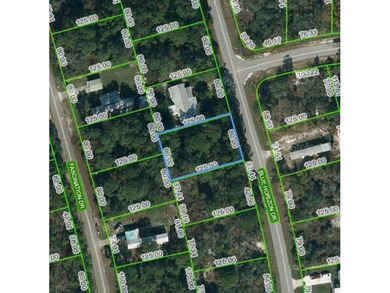 Lake Grassy Lot For Sale in Lake Placid Florida