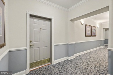 BACK ON THE MARKET AND BETTER THAN BEFORE - NEW CARPET - photo 3