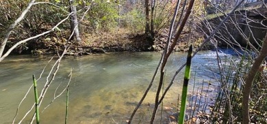 (private lake, pond, creek) Acreage For Sale in Dunlap Tennessee