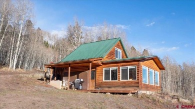 (private lake, pond, creek) Home For Sale in Powderhorn Colorado