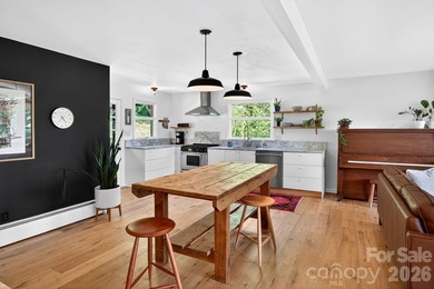 Thoughtfully renovated, light-filled mid-century modern ranch - photo 11