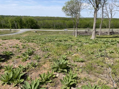 Grand Lake O the Cherokees Acreage For Sale in Grove Oklahoma