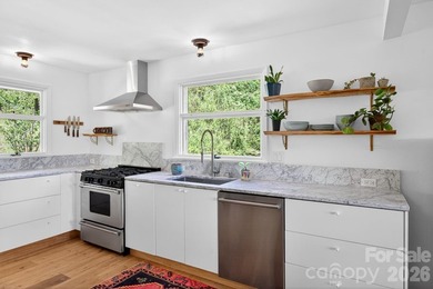Thoughtfully renovated, light-filled mid-century modern ranch - photo 12