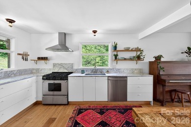 Thoughtfully renovated, light-filled mid-century modern ranch - photo 13