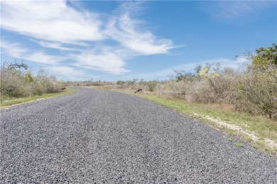 516 ACRE LOT LOCATED IN CARMEL HILLS SUBDIVISION. BUILD YOUR - photo 20