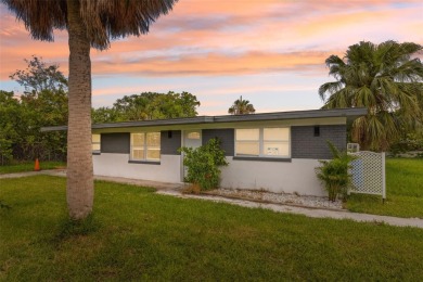 Lake Home For Sale in New Port Richey, Florida
