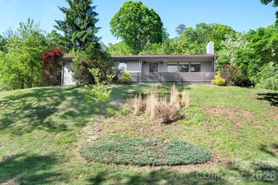 Thoughtfully renovated, light-filled mid-century modern ranch - photo 36