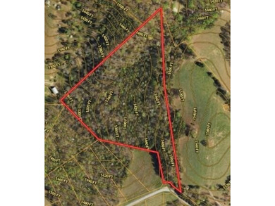 Norris Lake Acreage For Sale in New Tazewell Tennessee