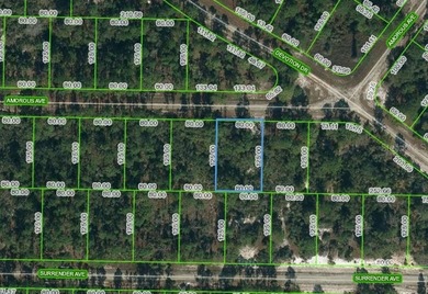 Lake Grassy Lot For Sale in Lake Placid Florida