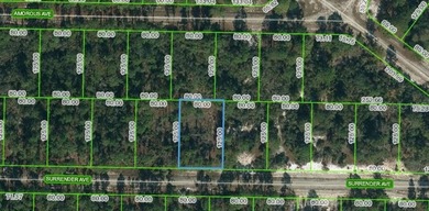Lake Grassy Lot For Sale in Lake Placid Florida
