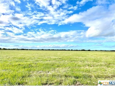 (private lake, pond, creek) Acreage For Sale in Seadrift Texas