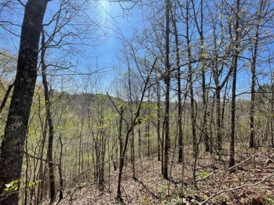 Over 26 acres of unspoiled timber paradise! Centrally located to - Lake Acreage For Sale in Bremen, Alabama