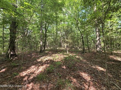 73.6+/- Acres on Summers Lane | Brookhaven, Mississippi Welcome - photo 11