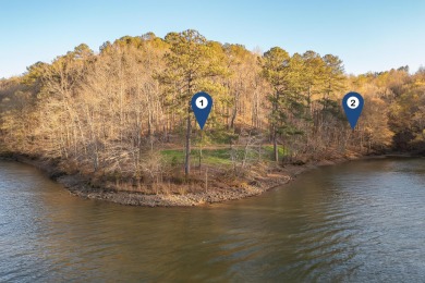 Lake Lot Sale Pending in Crane Hill, Alabama