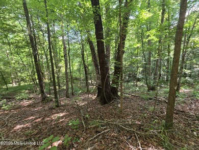 73.6+/- Acres on Summers Lane | Brookhaven, Mississippi Welcome - photo 12