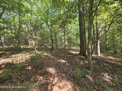73.6+/- Acres on Summers Lane | Brookhaven, Mississippi Welcome - photo 13