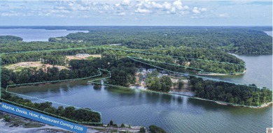 Experience the best of lake life living in the new and sought - photo 5