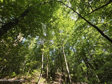 73.6+/- Acres on Summers Lane | Brookhaven, Mississippi Welcome - photo 17