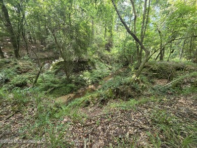 73.6+/- Acres on Summers Lane | Brookhaven, Mississippi Welcome - photo 19