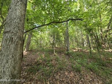 73.6+/- Acres on Summers Lane | Brookhaven, Mississippi Welcome - photo 20