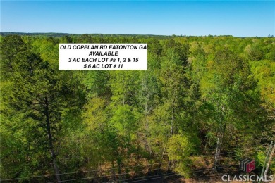 Lake Acreage For Sale in Eatonton, Georgia