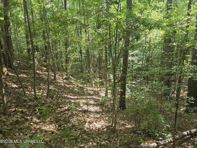 73.6+/- Acres on Summers Lane | Brookhaven, Mississippi Welcome - photo 21